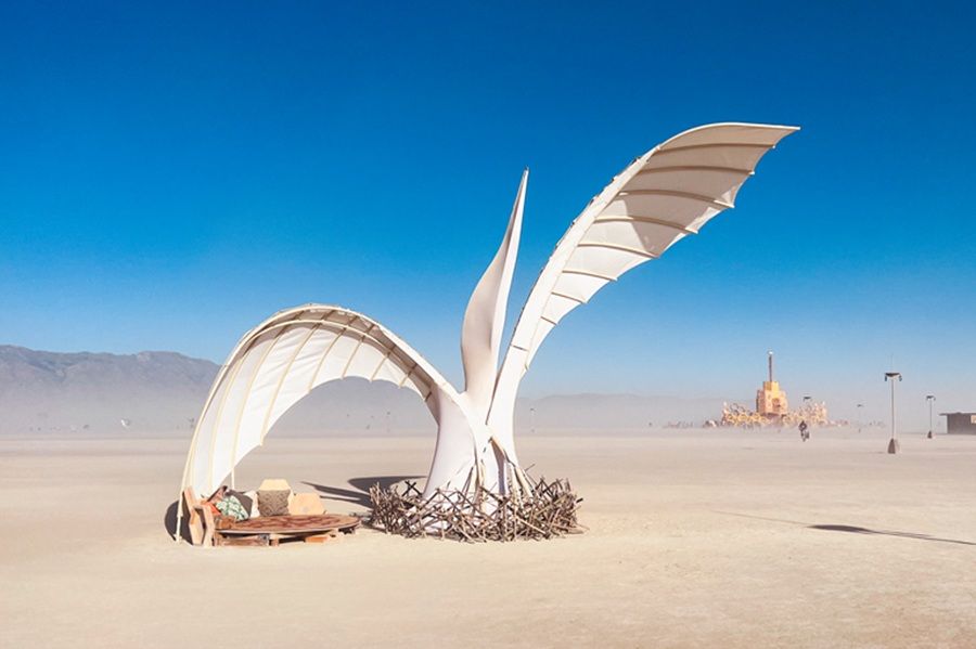 Migrations at Burning Man by Olivia Pheonix